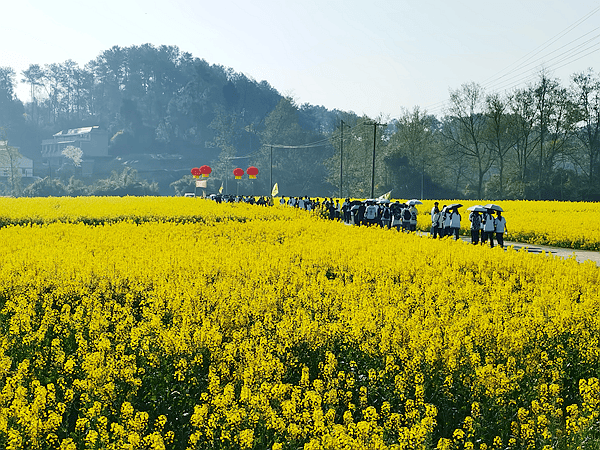 2019年11月07日巴彦淖尔市碰口县沙金苏木巴音乌拉嘎查场地及阿贵庙游化工厂.jpg