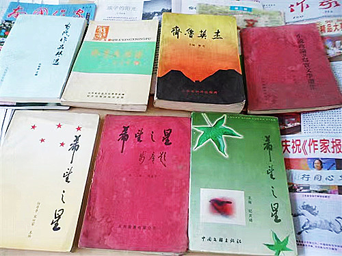 2017年6月28日在贵州黔西的百里画廊乌江源.JPG
