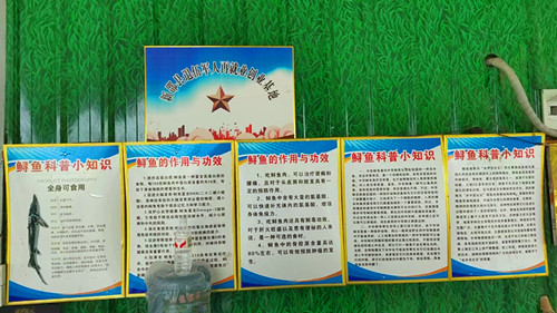 图片9_副本.jpg